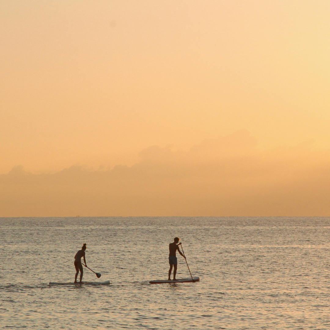 Ruta guiada Sunset Paddle Surf Costa Daurada