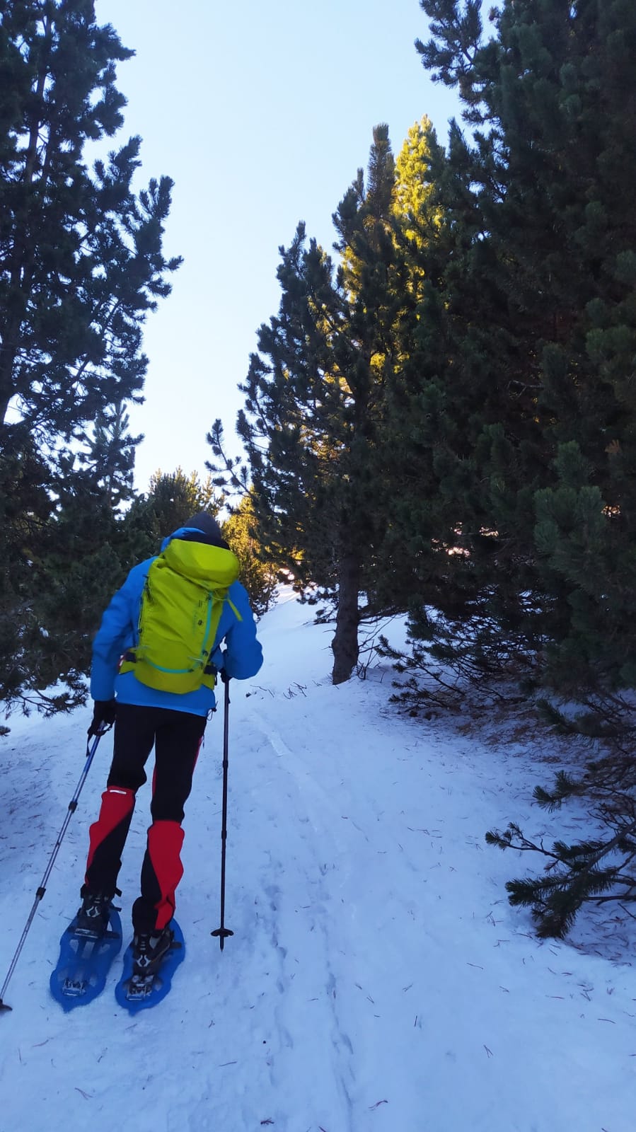 Excursió amb raquetes de neu a La Cerdanya
