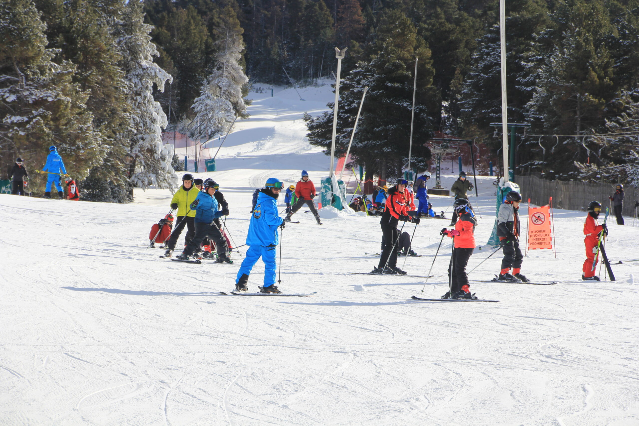 Esquiada escolar a La Molina